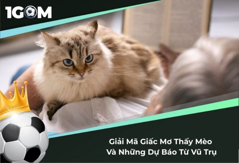 Giải Mã Giấc Mơ Thấy Mèo Và Những Dự Báo Từ Vũ Trụ
